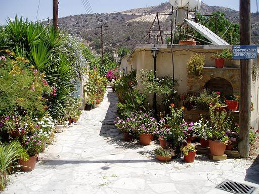 The old and narrow streets in Kalavasos are often decorated with flowers by local women of Cyprus